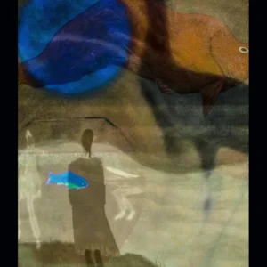 Blue Fish, Red Fish