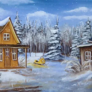 L'hiver en skidoo